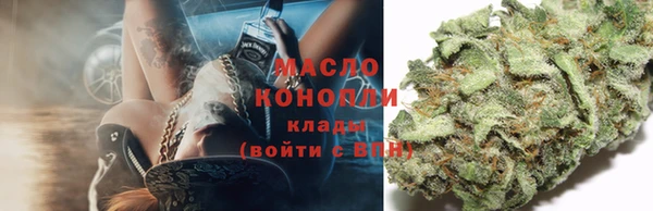 дмт Алексин