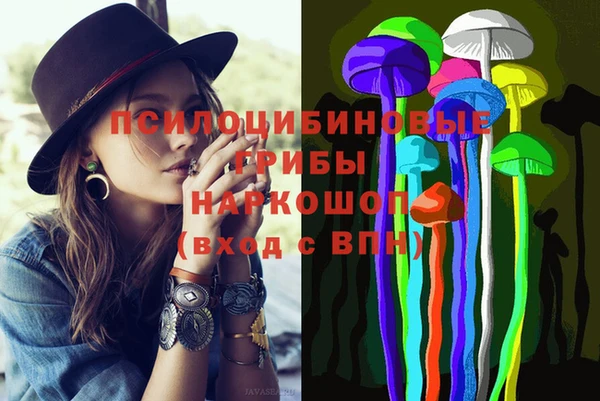 дмт Алексин