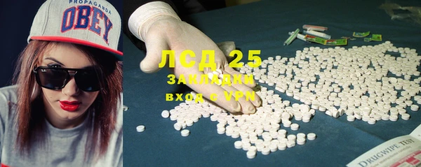 тгк Алзамай
