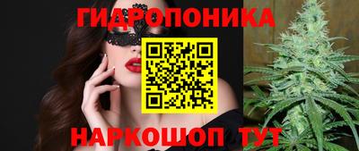 эйфоретик Заволжье