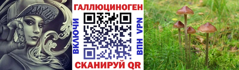 Галлюциногенные грибы Magic Shrooms Муравленко