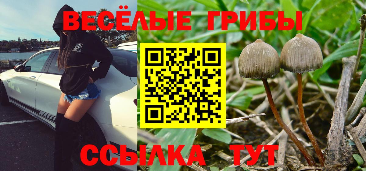 Муравленко  магазин продажи   Галлюциногенные грибы ЛСД  Вход с VPN  Псилоцибиновые грибы Magic Shrooms 